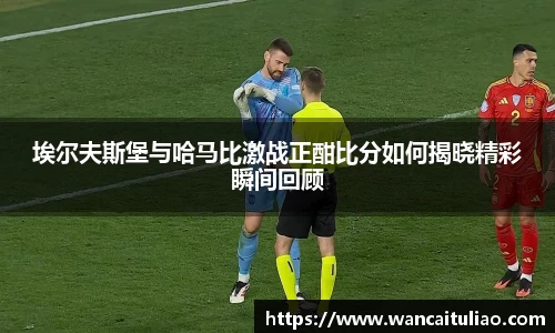 米兰体育MILAN SPORTS